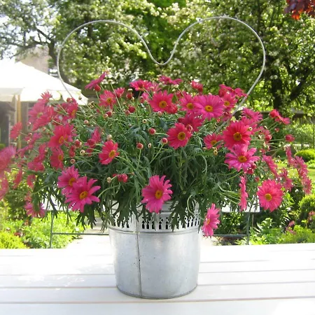 Nyaraló Haus Friedrichsen *